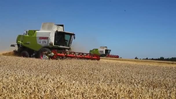 TERNOPIL - JULHO 20: Colheita de trigo, ceifeiras-debulhadoras trabalhando no campo de trigo em 20 de julho de 2017, em Ternopil — Vídeo de Stock