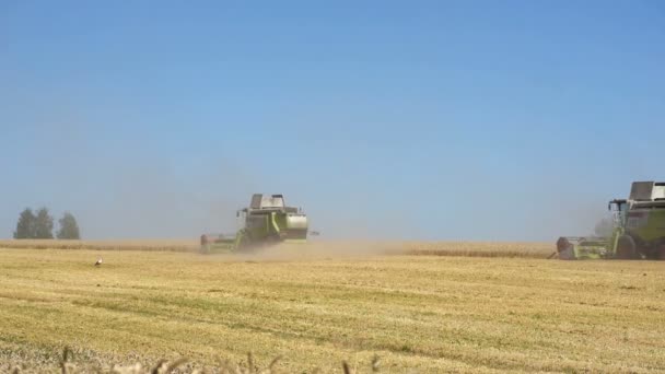 TERNOPIL - JULHO 20: Colheita de trigo, três colheitadeiras que trabalham no campo de trigo em 20 de julho de 2017, em Ternopil — Vídeo de Stock