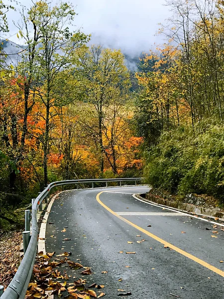 Colorful Autumn Forest Erlangshan Mountain Yana Sichuan Province China — Stock Photo, Image