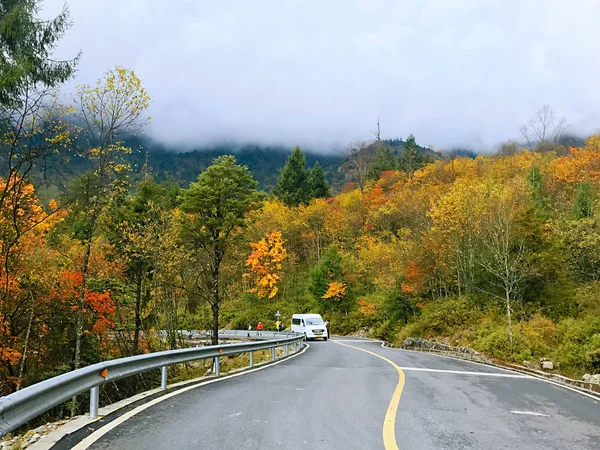 Colorful Autumn Forest Erlangshan Mountain Yana Sichuan Province China — Stock Photo, Image