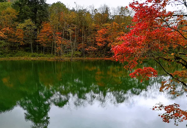 Farbenfroher Herbstwald Des Erlangshan Berges Yana Sichuan Provinz China — Stockfoto