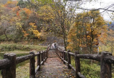 Renkli sonbahar Erlangshan orman Dağı, Yana, Sichuan Eyaleti, Çin.