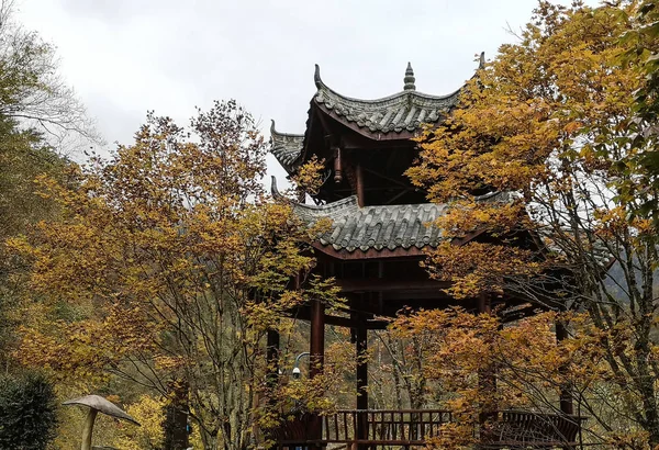 四川省 中国での森林の Erlangshan のカラフルな秋山 — ストック写真