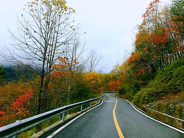 Colorful Autumn Forest Erlangshan Mountain Yana Sichuan Province China — Stock Photo, Image