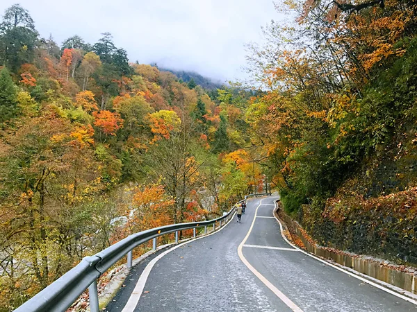 Красочные Осенние Леса Горы Эрланшань Яна Провинция Сычуань Китай — стоковое фото
