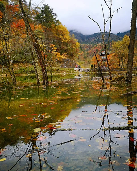 Renkli Sonbahar Erlangshan Orman Dağı Yana Sichuan Eyaleti Çin — Stok fotoğraf