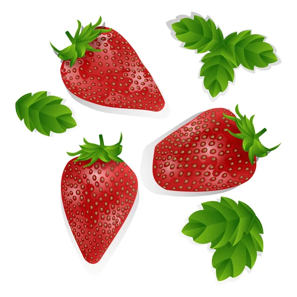 Beyaz arka plan üzerinde izole gerçekçi tatlı ve taze çilek kümesi. Taze meyve organik, resimde kırmızı tatlı çilek