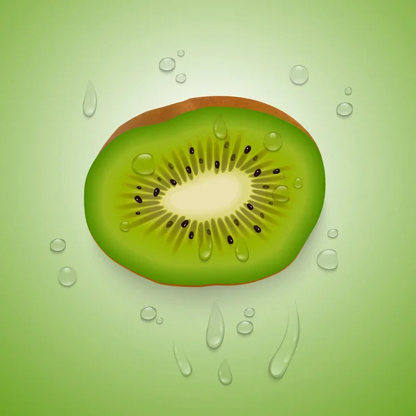 Kiwisκομμάτια φρούτων σε φωτεινό, πράσινο φόντο, ζουμερά κομμάτια φρούτων σε ένα ρεαλιστικό στυλ, απεικόνιση διάνυσμα — Διανυσματικό Αρχείο