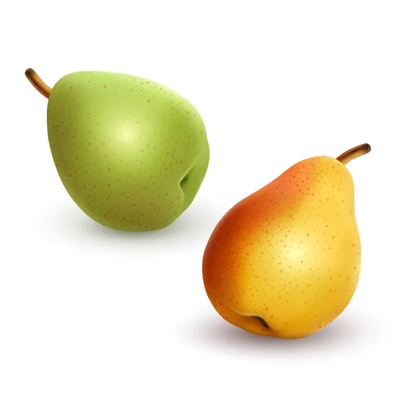 一套梨不同品种的绿色和黄色，逼真的矢量插图在白色背景，3D插图为您的设计 — 图库矢量图片