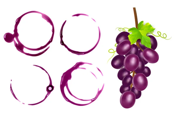 Conjunto de manchas de vino, círculos aislados sobre fondo blanco. Textura del vino con forma de círculos, ilustración vectorial — Archivo Imágenes Vectoriales