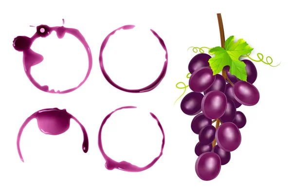 Conjunto de manchas de vino, círculos aislados sobre fondo blanco. Textura del vino con forma de círculos, ilustración vectorial — Archivo Imágenes Vectoriales