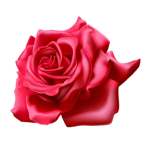 Червона троянда на білому тлі, реалістична 3D троянда, Векторні ілюстрації — стоковий вектор