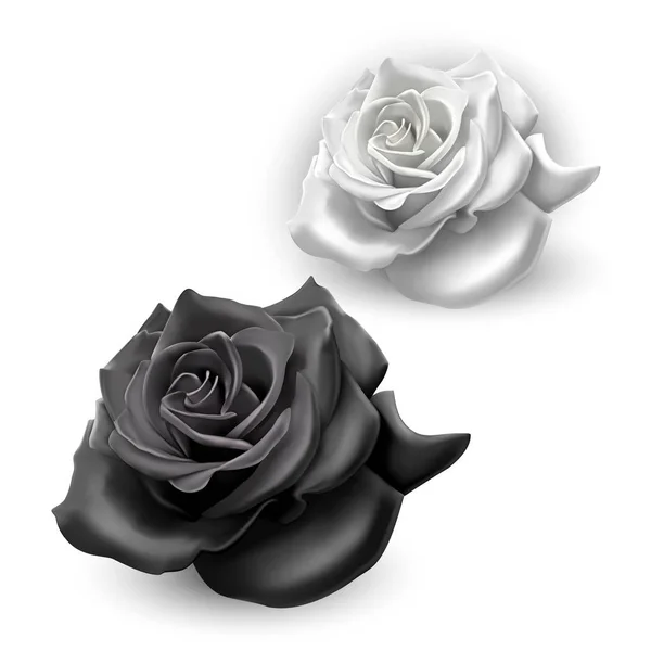 Ensemble de roses noires et blanches sur fond blanc, illustration vectorielle — Image vectorielle