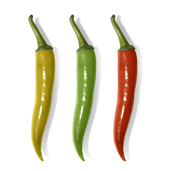 Conjunto de chiles picantes aislados sobre fondo blanco. Pimientos chile de colores rojo, amarillo y verde . — Vector de stock