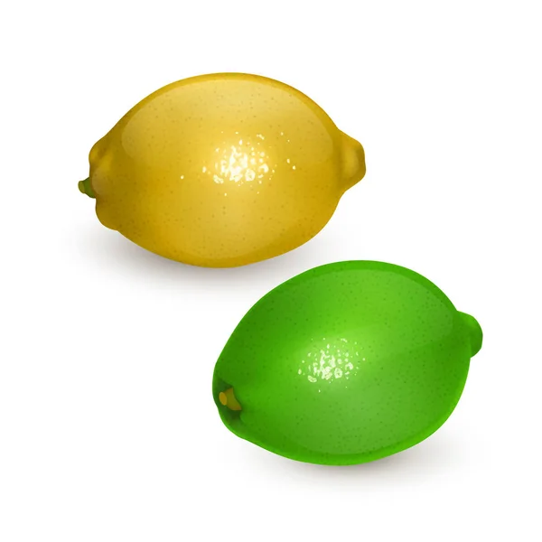 Limão realista e limão sobre fundo branco, vetor EPS 10 ilustração para o seu design — Vetor de Stock