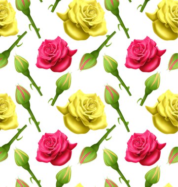 Çiçek açan güller, duvar kağıtları, posterler ve ambalaj kağıtları için kullanılabilir. Vektör Eps10