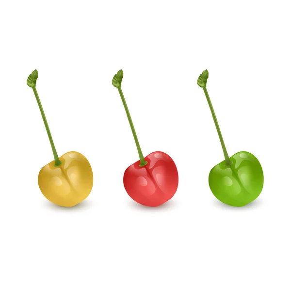 Set of red, yellow and green cherry berries isolated on white background. Vector illustration — 스톡 벡터