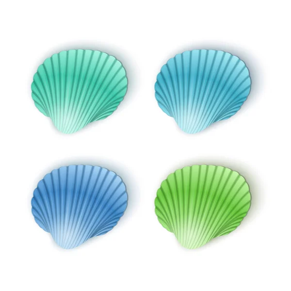 Conjunto de conchas de mar de vieira, Vector conchas de estilo de dibujos animados, ilustración aislada sobre fondo blanco — Vector de stock