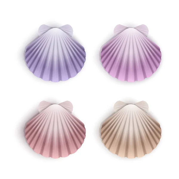 Set of scallop seashells, Vector seashells of cartoon style, illustration isolated on white background — Stock Vector
