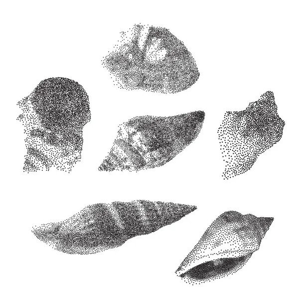 Conjunto de conchas marinas sobre fondo blanco, conchas marinas en estilo puntillismo, ilustración vectorial — Archivo Imágenes Vectoriales