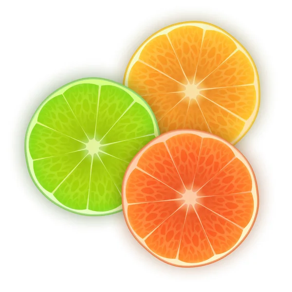 Tranches fraîches d'orange, citron vert et citron sur fond blanc, ensemble d'agrumes brillants, tranches d'orange pour votre projet — Image vectorielle