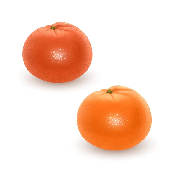 Sulu turuncu renkli parlak vektör kümesi. Beyaz arka planda taze gerçekçi portakallar ve mandalinalar. Vektör Eps 10 illüstrasyon — Stok Vektör