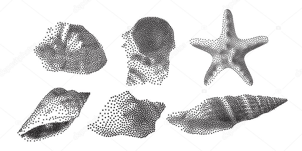 Set of Seashells on white background, seashells in Pointillism style, Vector illustration