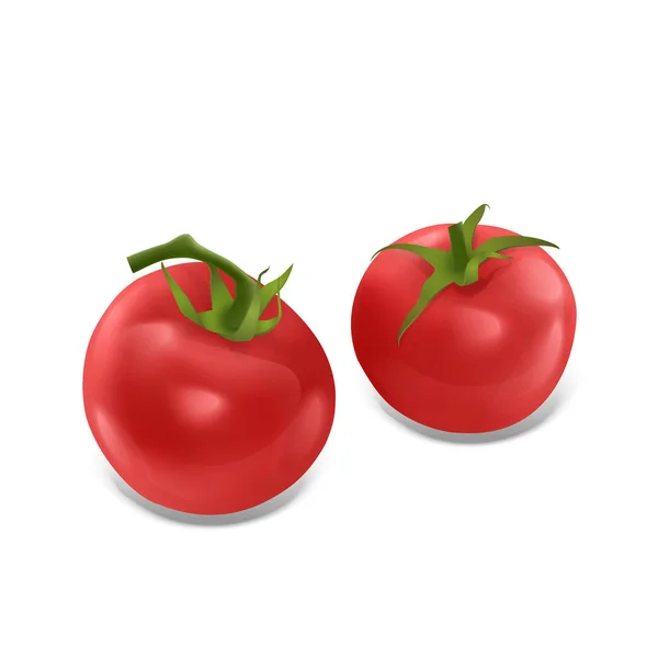 一组成熟的红色西红柿，在白色背景上被分离出来，番茄集合在现实的风格上，矢量图解 — 图库矢量图片