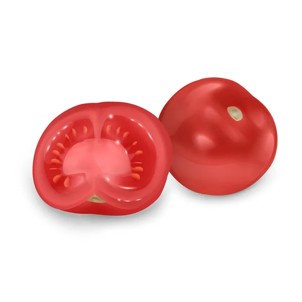 白を基調とした熟したトマトと赤いトマトのセット、現実的なスタイルで設定されたトマト、ベクトルイラスト — ストックベクタ