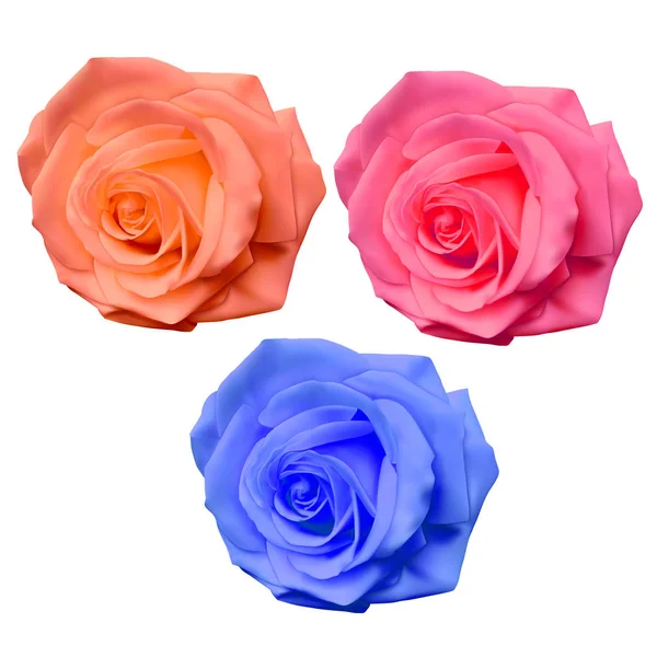 Conjunto de rosas realistas de cores amarelo brilhante, rosa e azul no fundo branco, rosas vetoras, decoração para o seu design — Vetor de Stock