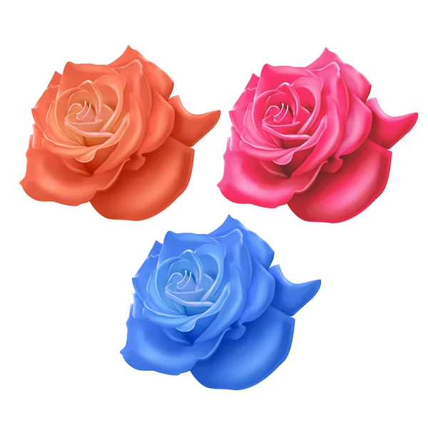 Conjunto de rosas realistas de cores amarelo brilhante, rosa e azul no fundo branco, rosas vetoras, decoração para o seu design — Vetor de Stock