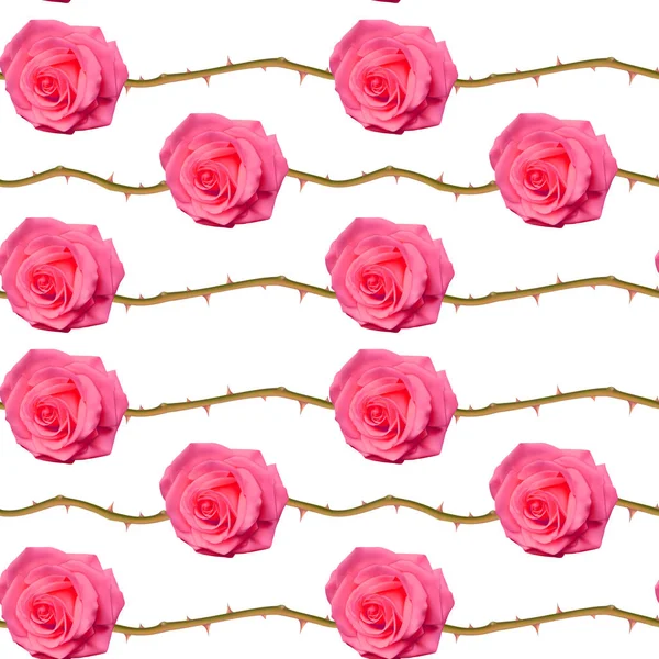 Бесшовный, бесконечный узор с розами и шипами, ярко-розовые розы на белом фоне, дизайн для упаковки. Векторная иллюстрация — стоковый вектор