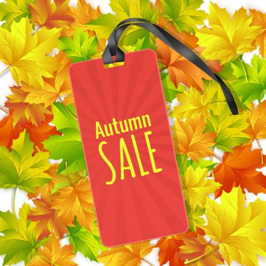 Renkli sonbahar ile Sonbahar satış afiş tasarımı sonbahar sezonu alışveriş promosyon için arka plan bırakır. Vektör çizimi.