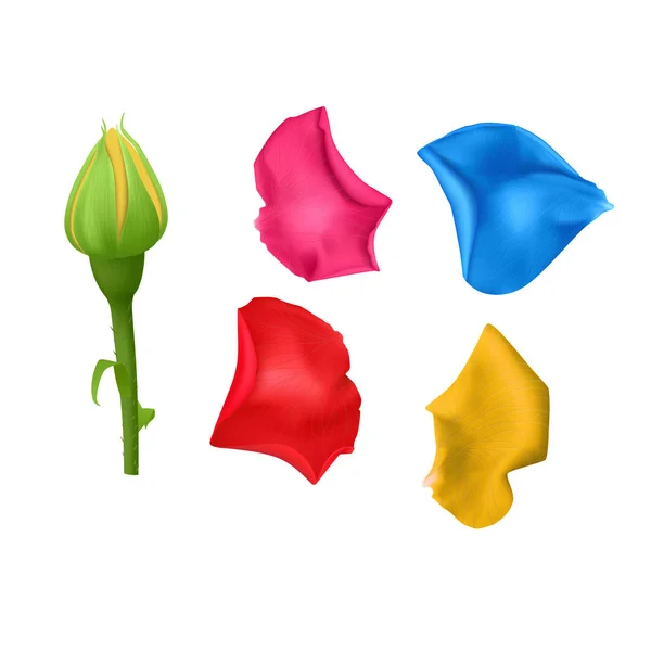 Conjunto pétalos de rosa de diferentes colores brillantes, primer plano sobre un fondo blanco se puede utilizar para el diseño de saludos románticos. Ilustración vectorial realista — Vector de stock