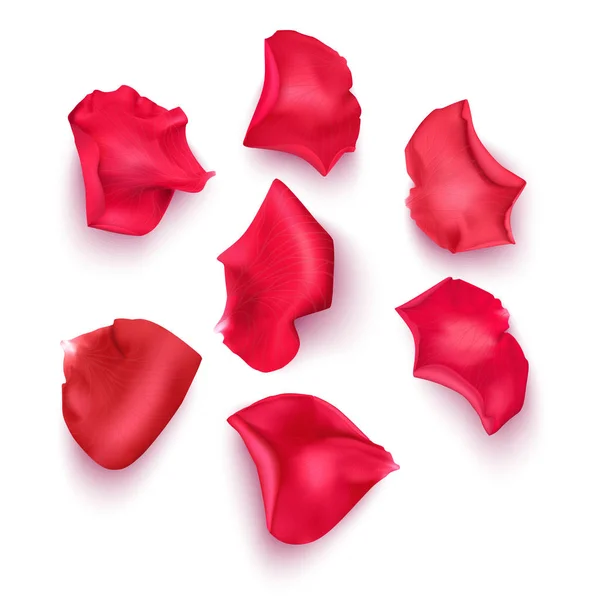 Beyaz arka plandaki pembe gül yaprakları seti romantik selamlaşmaların dizaynı için kullanılabilir. Vektör Eps10 illüstrasyonu