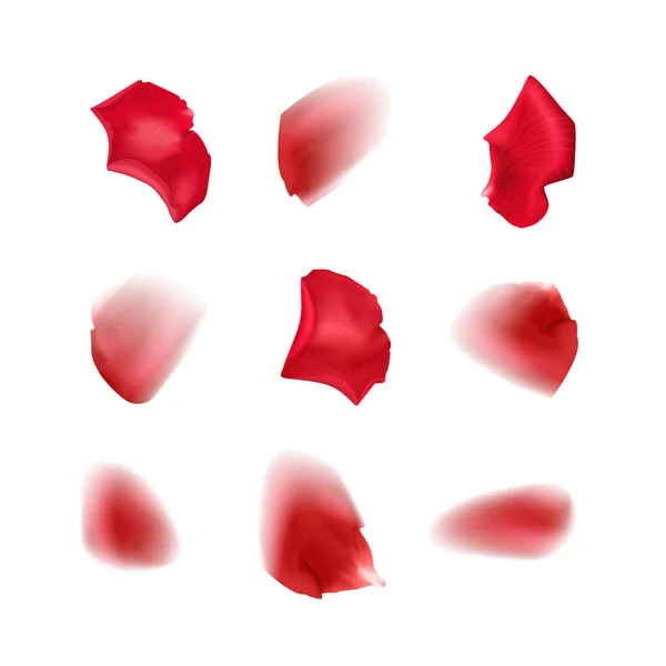Ustaw płatki róż na białym tle, niewyraźne płatki róż czerwonego koloru losowo pływające w powietrzu, wektor ilustracji — Wektor stockowy