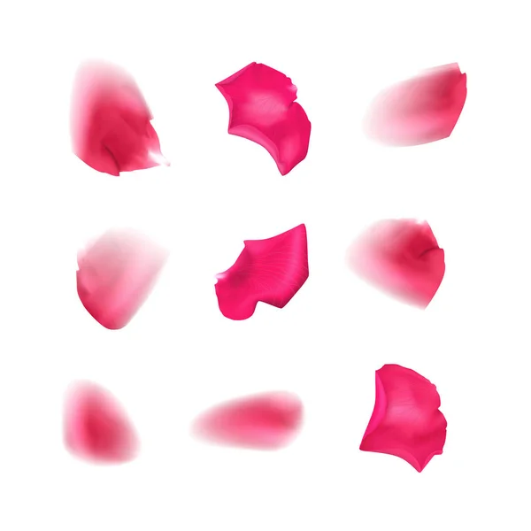 Ustaw płatki róż na białym tle, niewyraźne płatki róż czerwonego koloru losowo pływające w powietrzu, wektor ilustracji — Wektor stockowy
