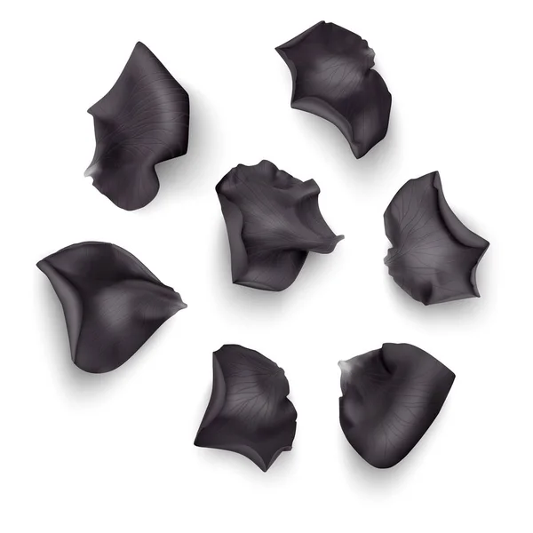Conjunto de pétalos de rosa negro, primer plano sobre un fondo blanco se puede utilizar para el diseño de saludos románticos. Vector Eps10 ilustración — Vector de stock