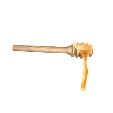 Bal dipper ve sıvı bal sarkık, Gerçekçi vektör illüstrasyon beyaz arka plan üzerinde izole