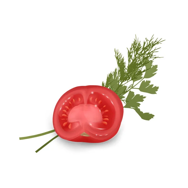 Il pomodoro rosso prezzemolo crudo verde e mazzo di aneto fresco Ingrediente spezia per alimenti sani o insalata . — Vettoriale Stock