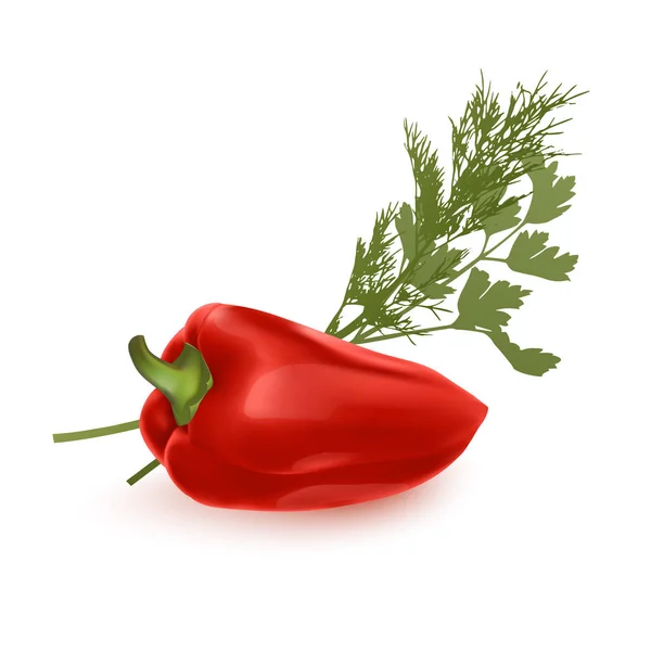 Vegetal fresco de pimiento rojo aislado sobre fondo blanco. pimienta para el mercado agrícola, ilustración vectorial en estilo realista — Vector de stock