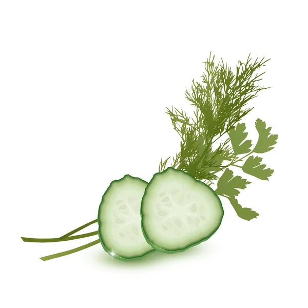 Fatia de pepino suculento e verdes isolados no fundo branco. ilustração 3d realista — Vetor de Stock