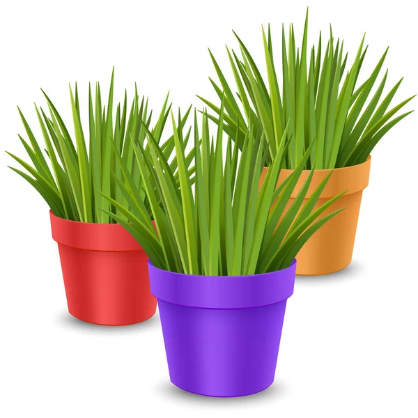 Vecteur réaliste plantes d'intérieur dans des pots colorés. Plante d'intérieur ornementale. Format vectoriel EPS 10 — Image vectorielle