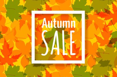 Sonbahar, sonbahar konsepti. Boş bir çerçeve ve renkli sonbahar yaprakları, pürüzsüz desenli arka plan. Düz konum, üst görünüm, kopyalama alanı, vektör 10 biçimi