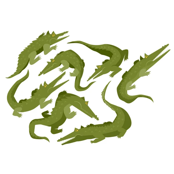 Set von Krokodilen oder Alligatoren isoliert auf weißem Hintergrund, Krokodilfigur in verschiedenen Posen Kindliche Aufkleber — Stockvektor
