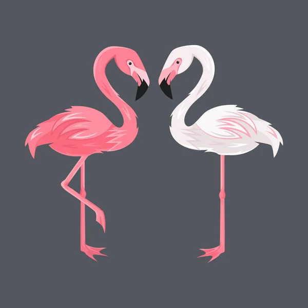 Flamants Roses Blancs Sur Fond Sombre Vecteur Eps Format — Image vectorielle