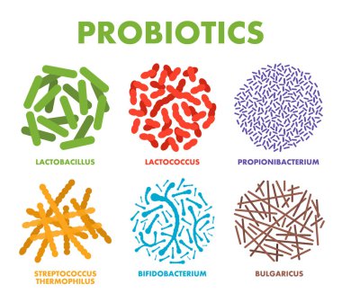 Probiyotikler. İyi bakteri ve mikroorganizmalar insan sağlığı için. Mikroskobik probiyotikler, iyi bakteri flora. Vektör