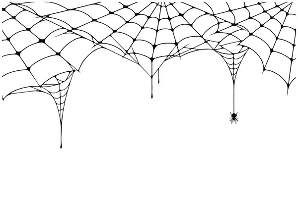 Fundo Assustador Teia Aranha Fundo Cobweb Com Aranha Teia Aranha —  Vetores de Stock