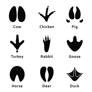 Hayvanların ayak izleri, pençe parmak izi. Farklı hayvanlar ve kuşlar ayak izleri ve izlemeler kümesi. İnek, tavuk, domuz, Türkiye, tavşan, kaz, at, geyik, ördek. Vektör