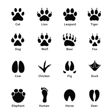 Hayvanların ayak izleri, pençe parmak izi. Farklı hayvanlar ve kuşlar ayak izleri ve izlemeler kümesi. Kedi, aslan, kaplan, ayı, köpek, inek, domuz, tavuk, fil, at vs. Vektör